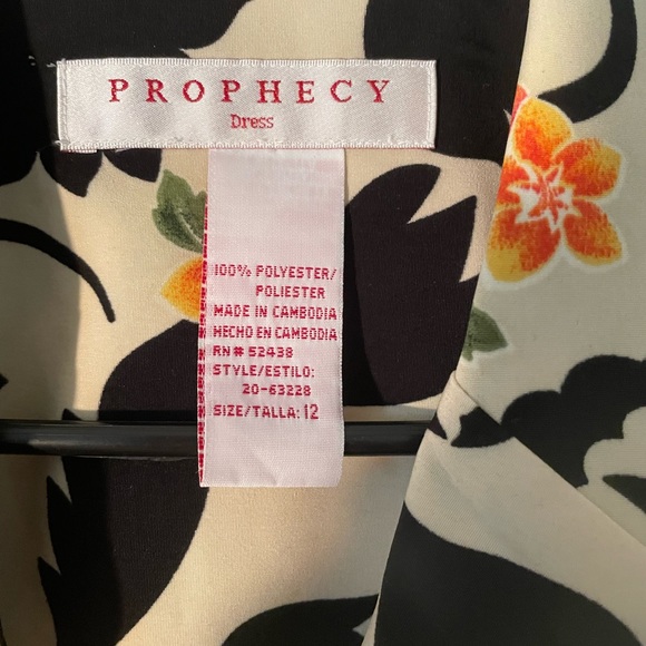 Prophecy Floral Dress - Picture 3 of 7